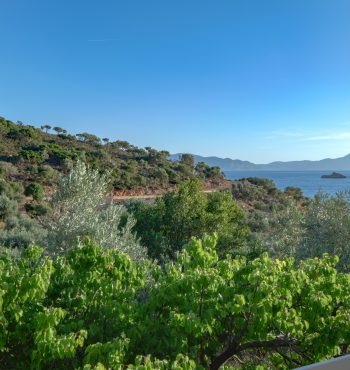 Views from Lakka Villa